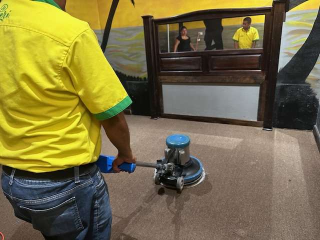 limpieza de alfombras