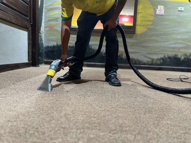 limpieza de alfombras